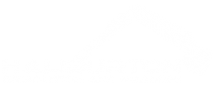 Haliburton Logo White